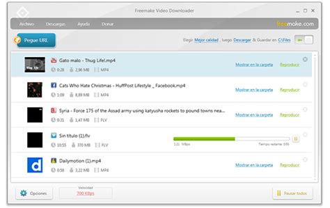 freemake video downloader|baixar filmes grátis no notebook.